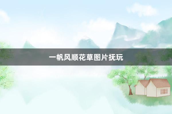 一帆风顺花草图片抚玩