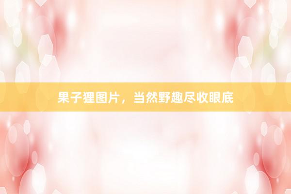 果子狸图片，当然野趣尽收眼底