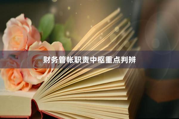财务管帐职责中枢重点判辨